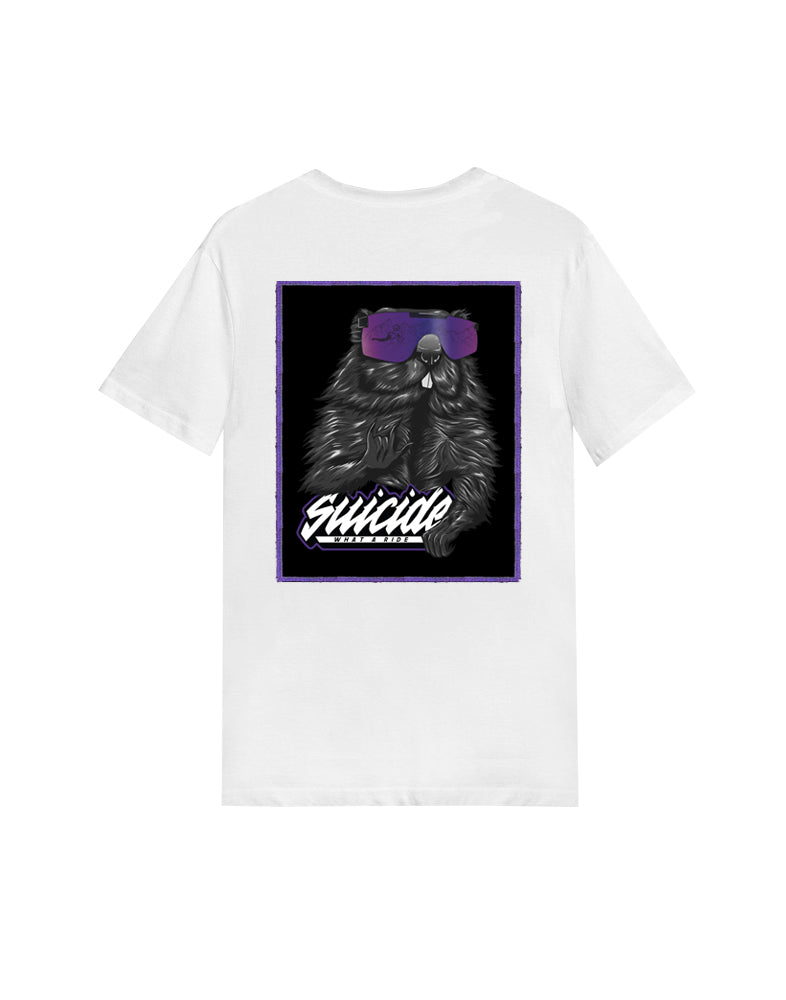 COTOLLA// TEE